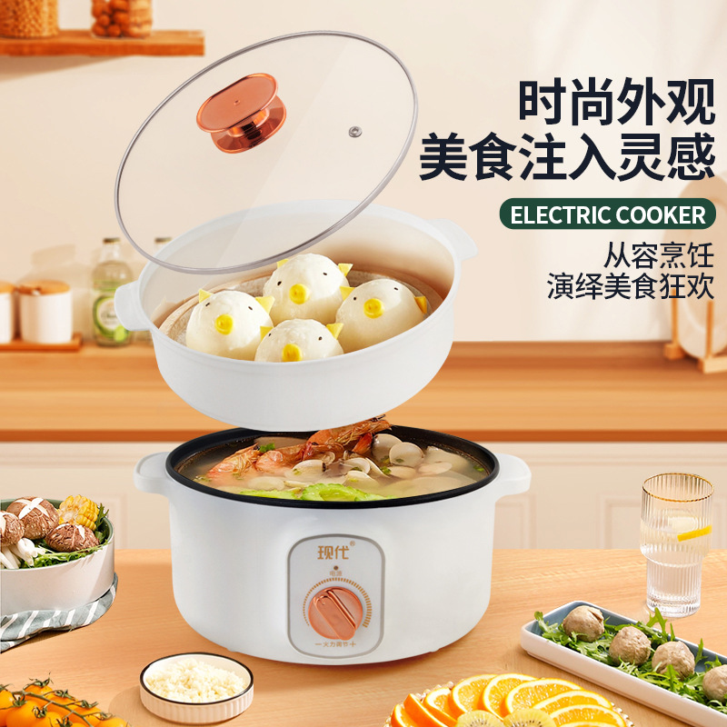 Wielofunkcyjny Mini Elektryczn – Kitchen Appliances Cooking recenzja i cena