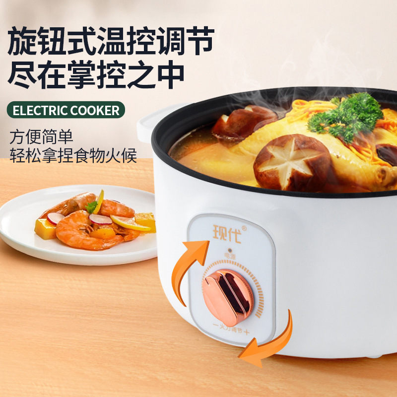 Wielofunkcyjny Mini Elektryczn – Kitchen Appliances Cooking recenzja i cena